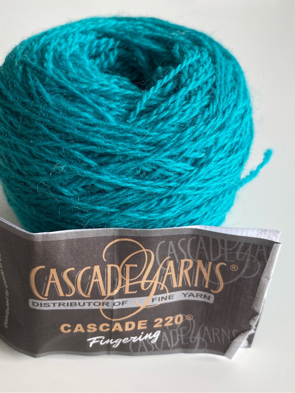 Cascade Yarns Cascade 220 Fingering Yarn - Tropical Green / Vibrant Teal